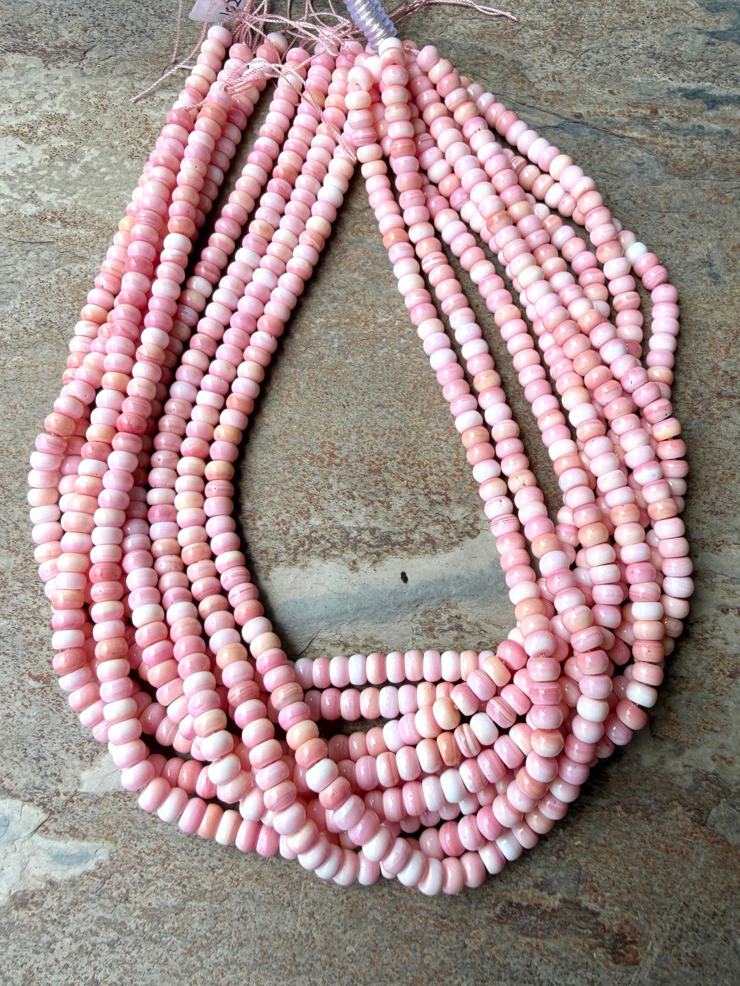 Pink Queen Conch Shell 6mm Rondelle Beads 16 inch Strand