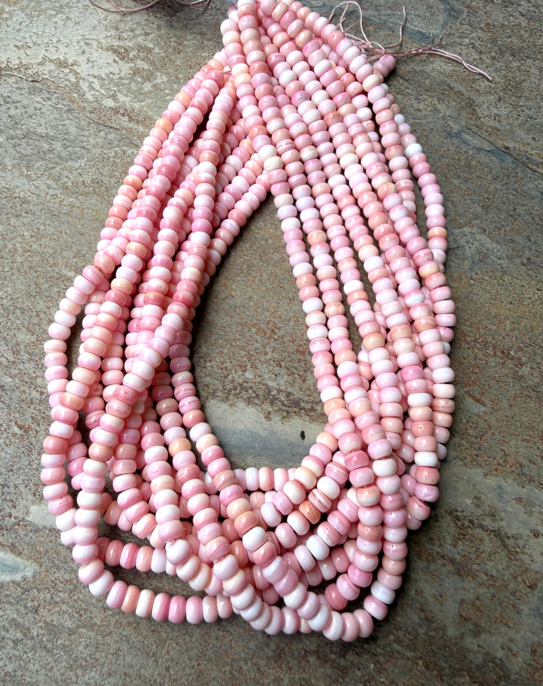 Pink Queen Conch Shell 6mm Rondelle Beads 16 inch Strand