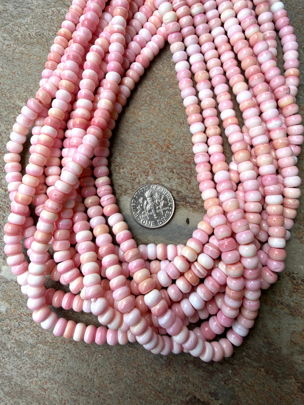Pink Queen Conch Shell 6mm Rondelle Beads 16 inch Strand