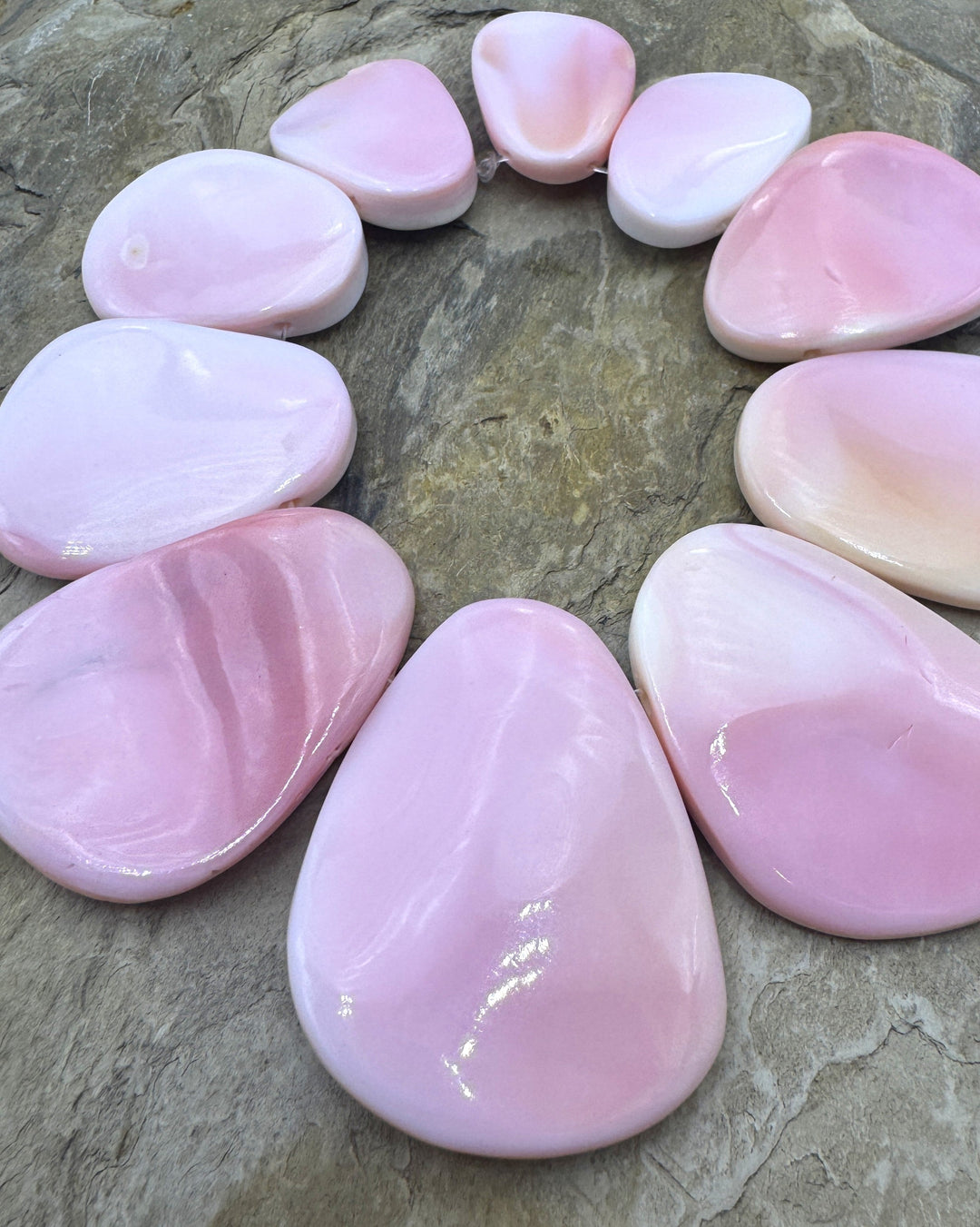 Pink Queen Conch Shell BIG 10 Piece Focal Strand