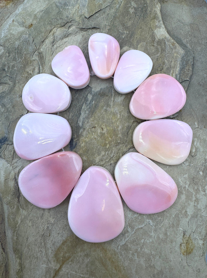 Pink Queen Conch Shell BIG 10 Piece Focal Strand