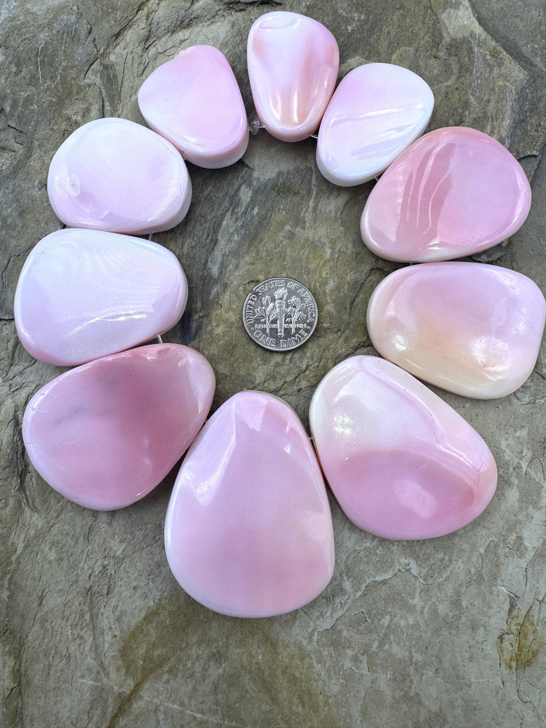 Pink Queen Conch Shell BIG 10 Piece Focal Strand
