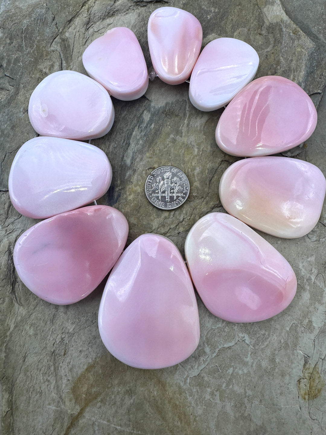 Pink Queen Conch Shell BIG 10 Piece Focal Strand