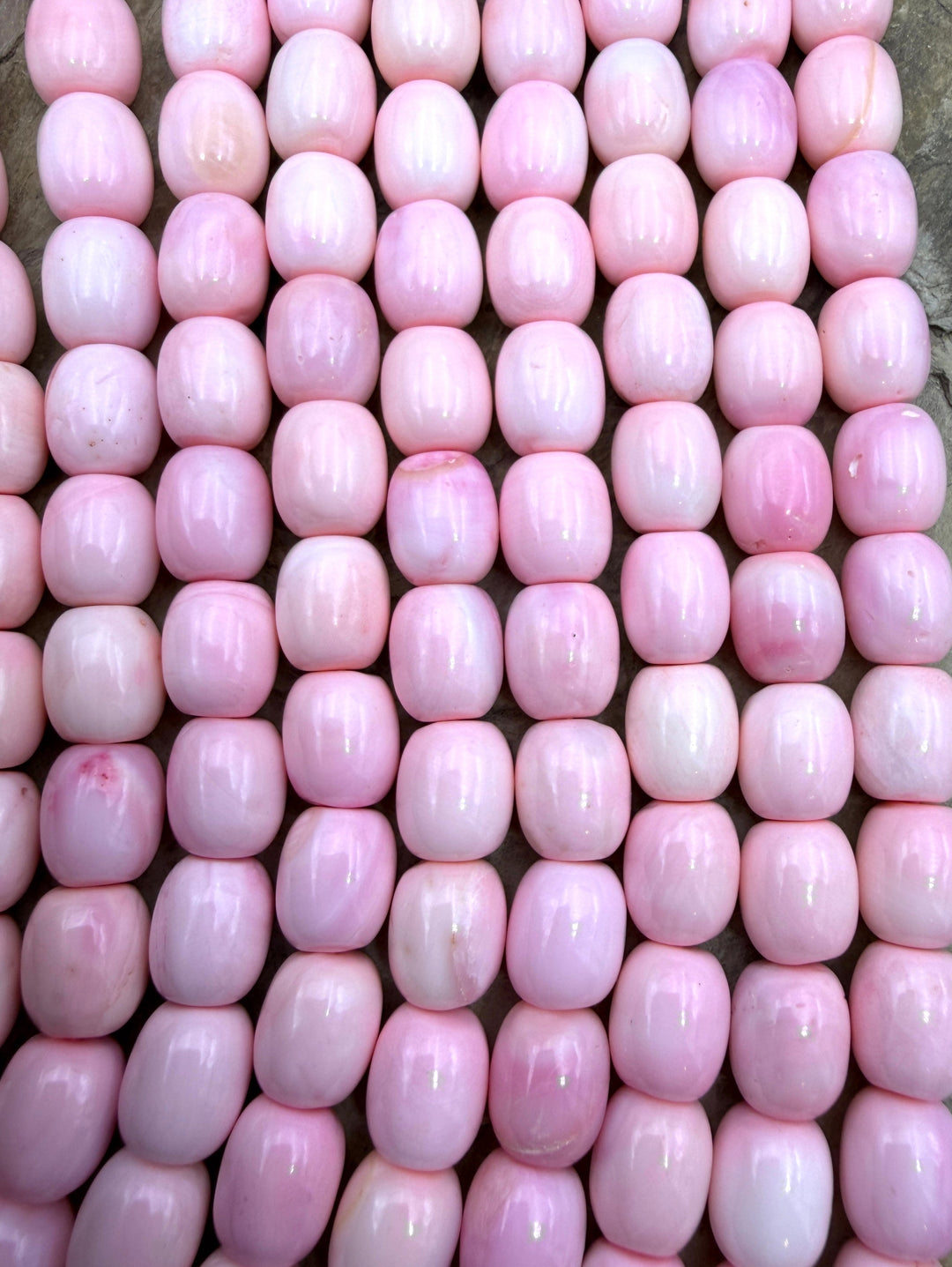 Pink Queen Conch Shell (Color Enhanced) BIG Barrel Beads