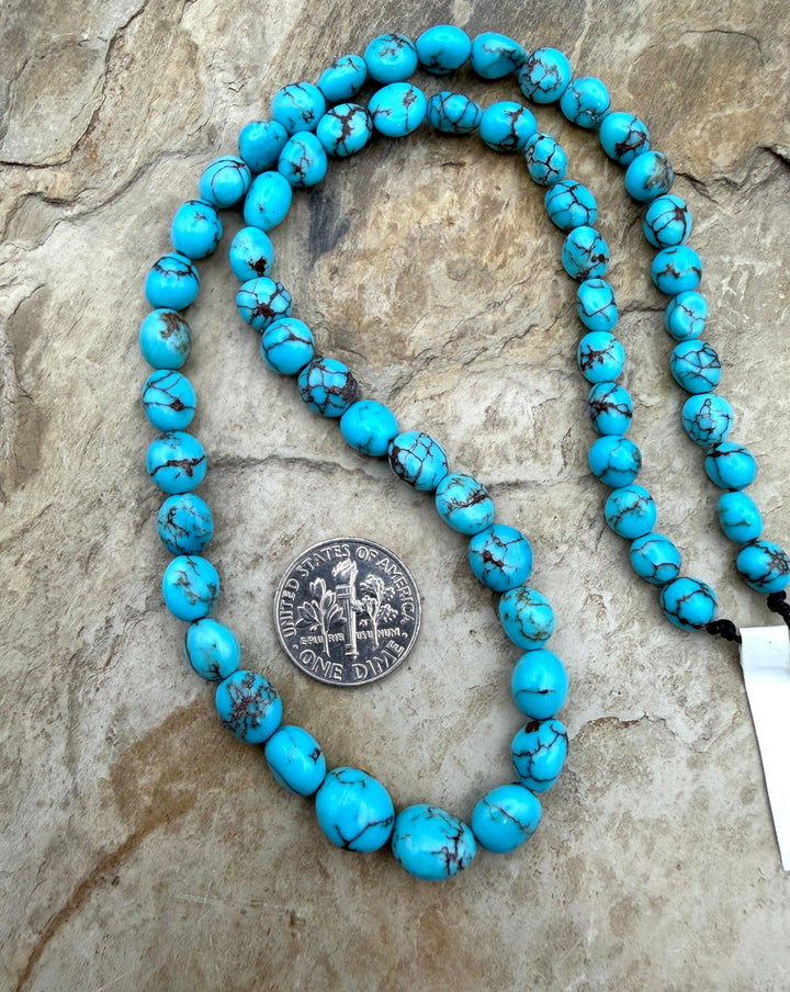 Prince Turquoise (Egypt) Graduated Rounded Nugget Beads