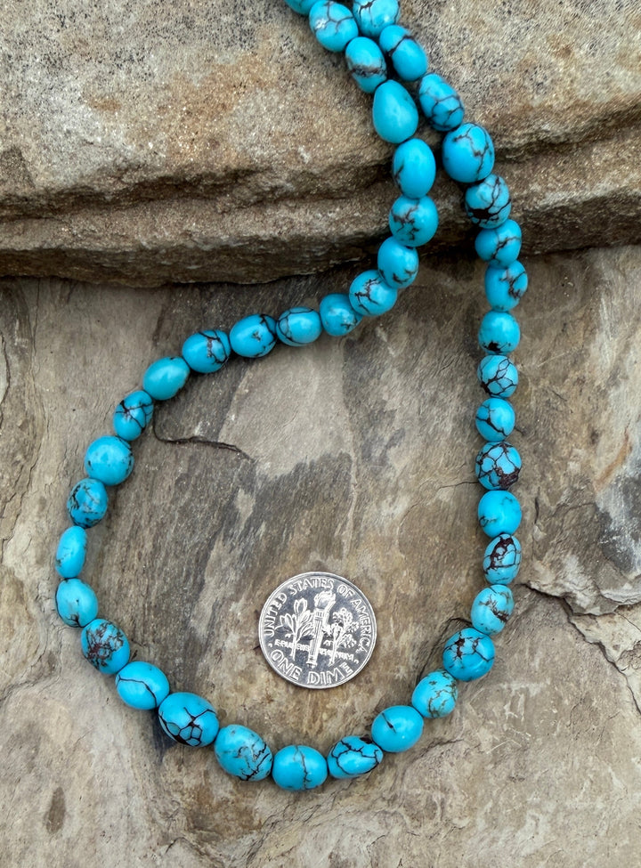 Prince Turquoise (Egypt) Graduated Rounded Nugget Beads