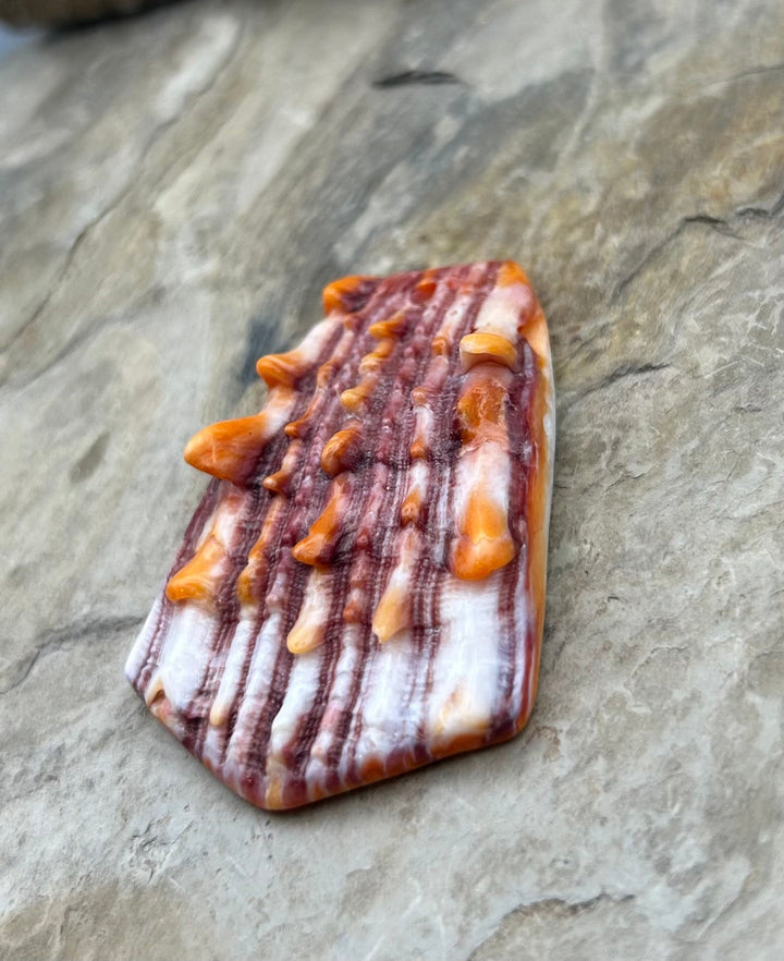 Purple and Orange Spiny Oyster BIG Focal Pendant Bead