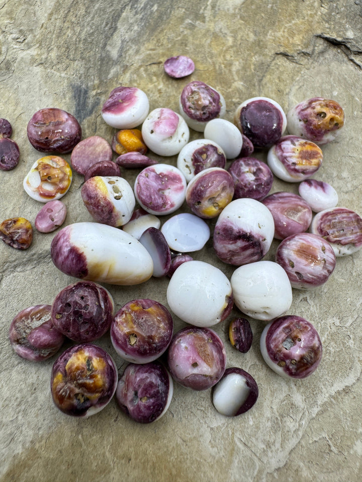 Purple Spiny Oyster Polished Undrilled Nuggets 4 14mm (pkg