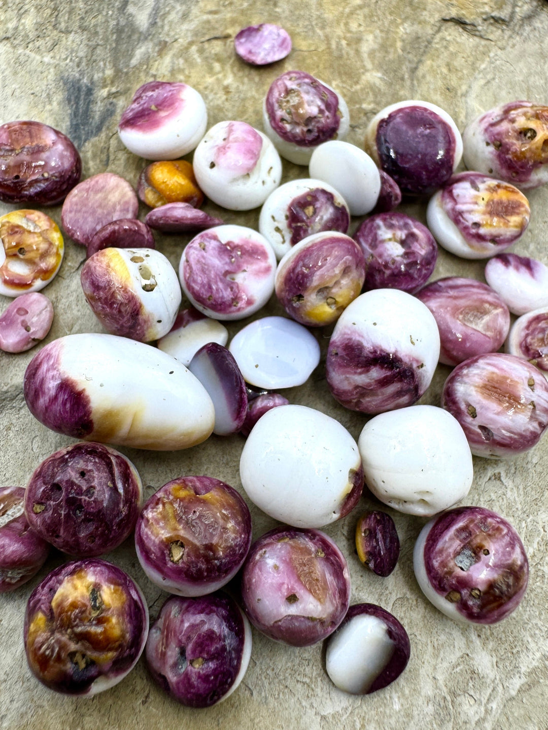 Purple Spiny Oyster Polished Undrilled Nuggets 4 14mm (pkg