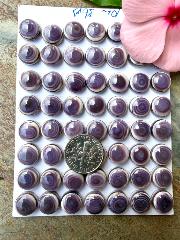 Purple Wampum/Quahog Shell 10mm Calibrated Round Cabochons