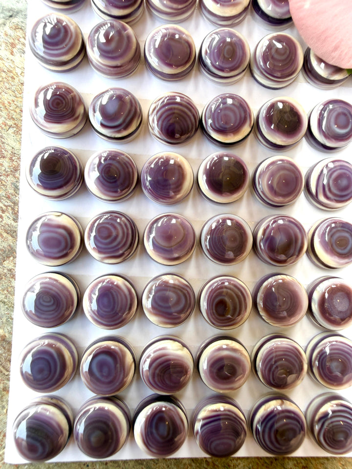 Purple Wampum/Quahog Shell 10mm Calibrated Round Cabochons