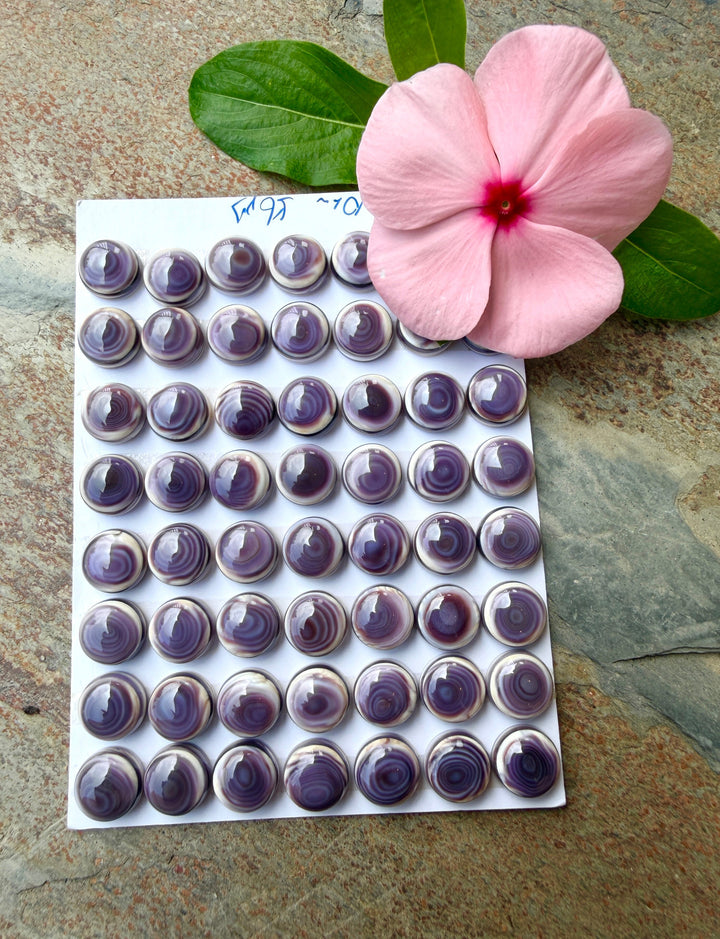 Purple Wampum/Quahog Shell 10mm Calibrated Round Cabochons