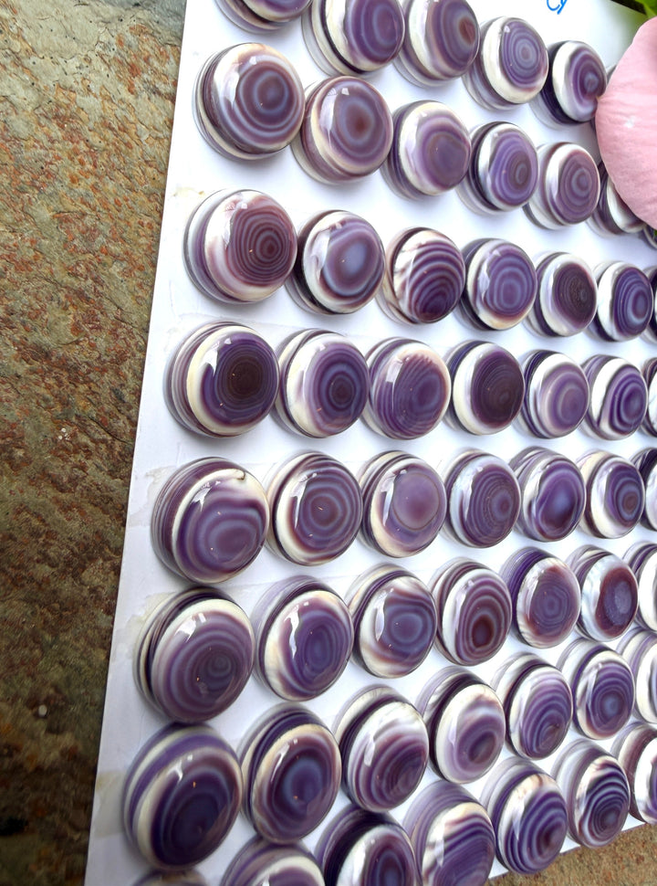 Purple Wampum/Quahog Shell 10mm Calibrated Round Cabochons