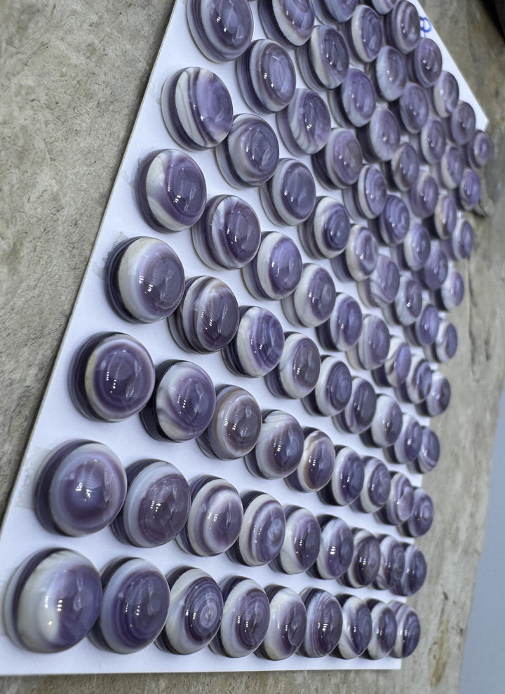 Purple Wampum/Quahog Shell 8mm Calibrated Round Cabochons