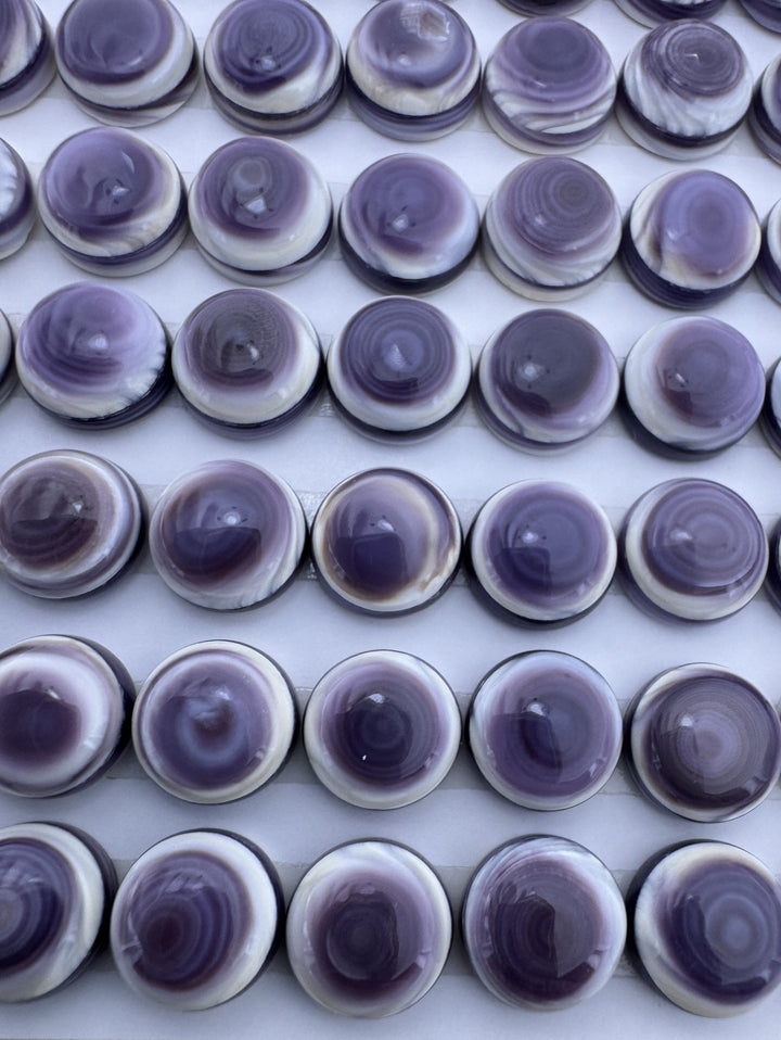Purple Wampum/Quahog Shell 8mm Calibrated Round Cabochons