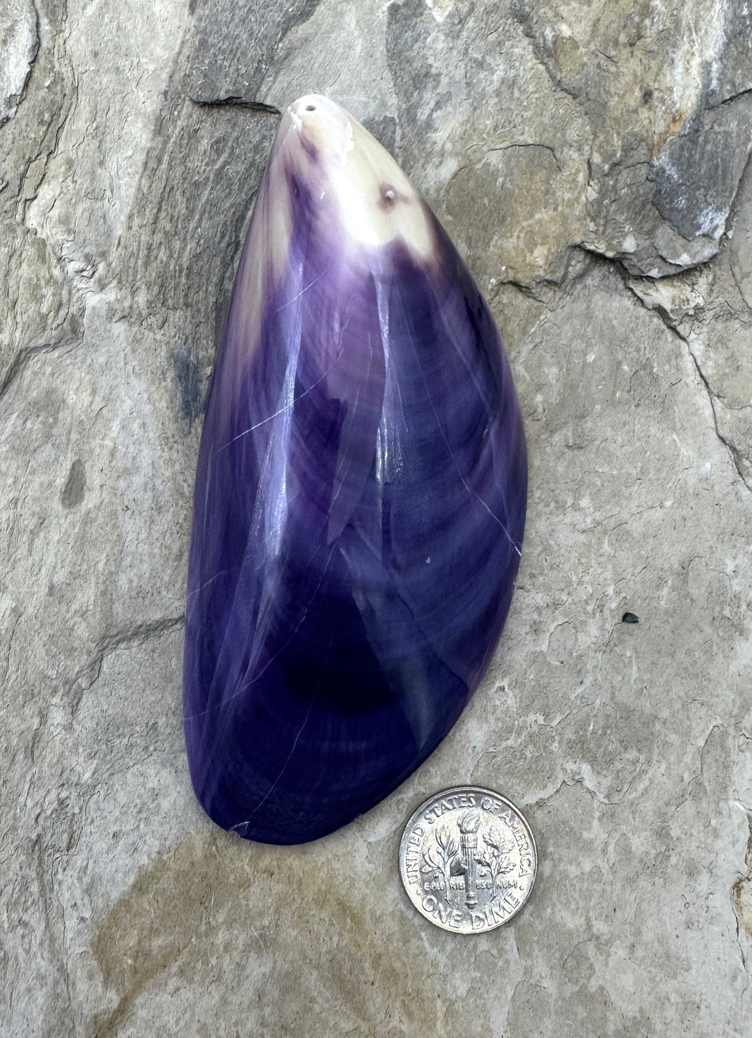 Purple Wampum/Quahog Shell Natural HUGE Shell Pendant