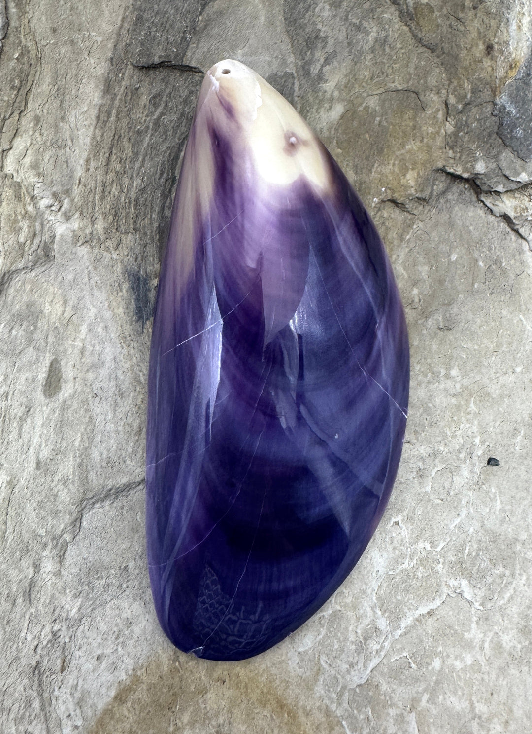 Purple Wampum/Quahog Shell Natural HUGE Shell Pendant