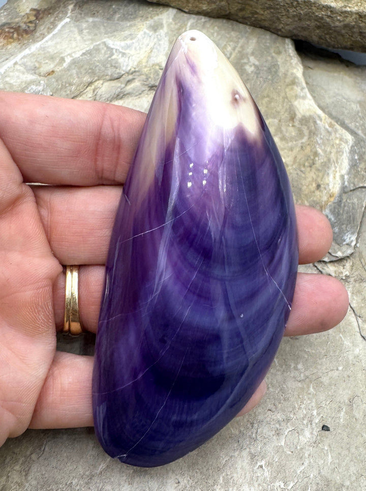 Purple Wampum/Quahog Shell Natural HUGE Shell Pendant