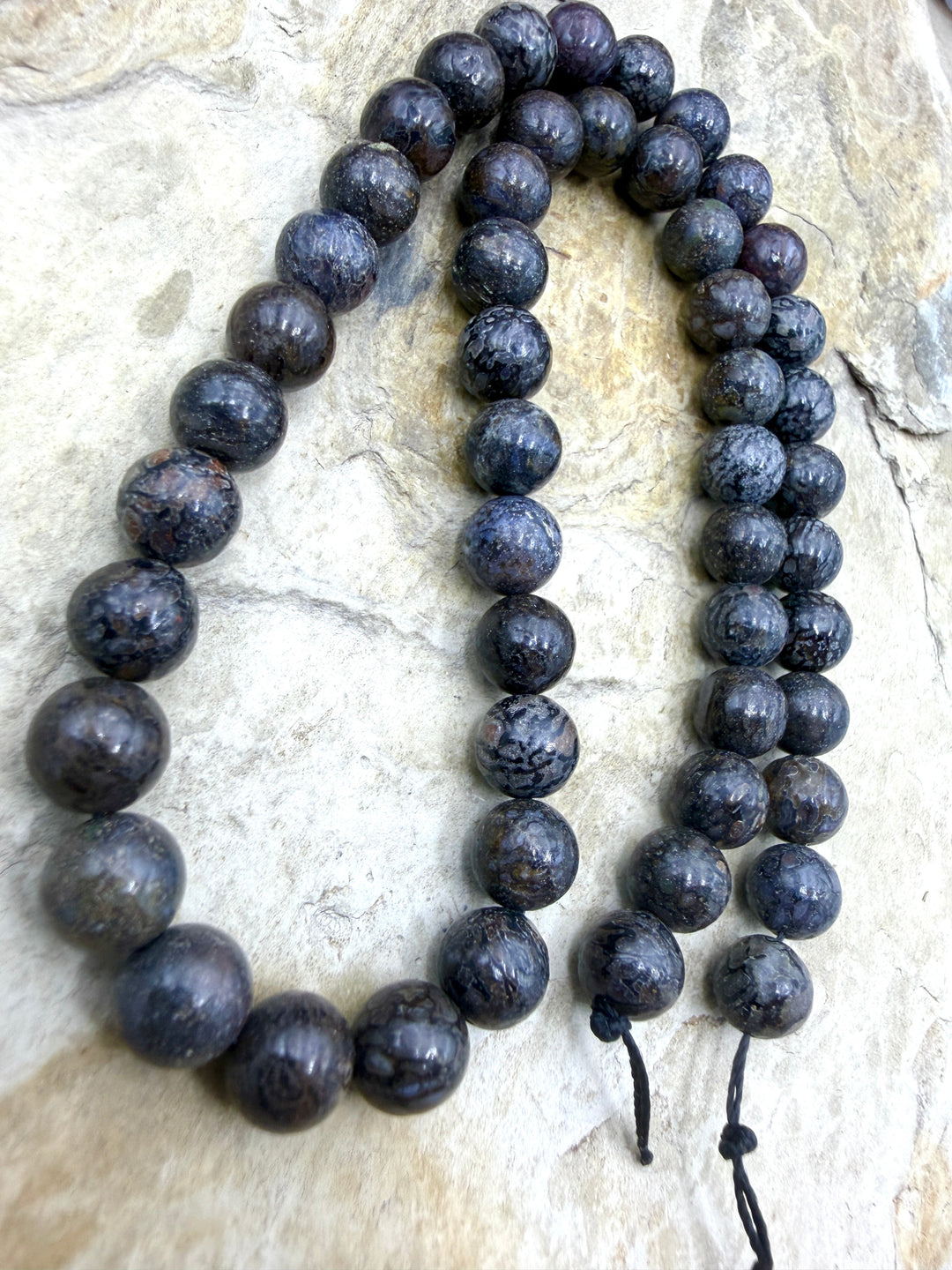 RARE AA+ High Pattern Utah Dinosaur Bone 8mm Round Beads 16