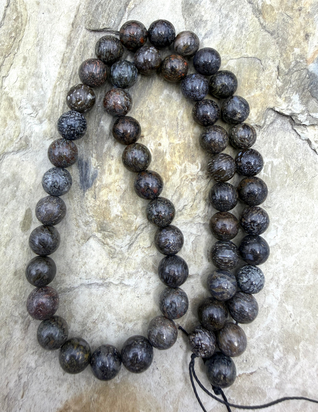 RARE AA+ High Pattern Utah Dinosaur Bone 8mm Round Beads 16