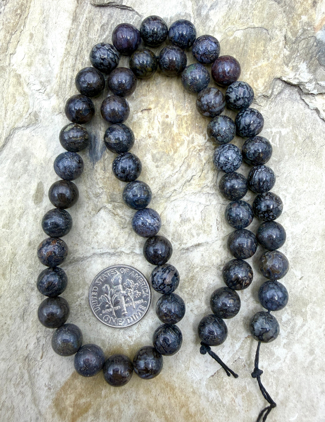 RARE AA+ High Pattern Utah Dinosaur Bone 8mm Round Beads 16