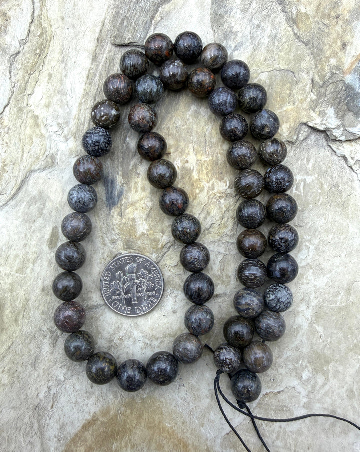 RARE AA+ High Pattern Utah Dinosaur Bone 8mm Round Beads 16