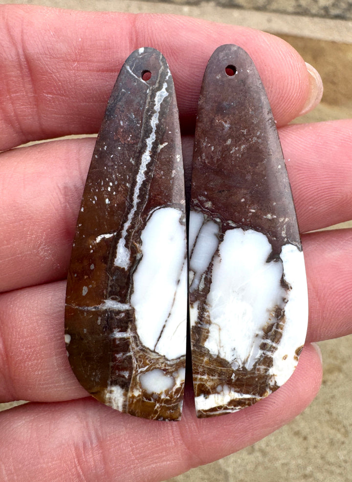 RARE AAA + Arizona Wild Horse BIG Matching Earring Slab