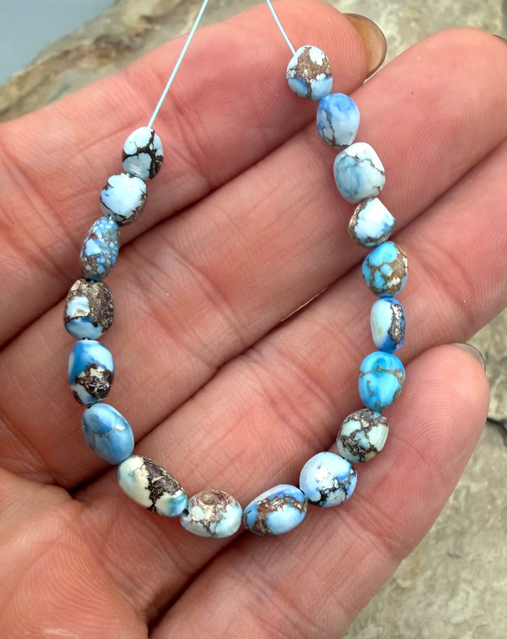 RARE AAA+ Golden Hills Turquoise (Kazakhstan) Graduated
