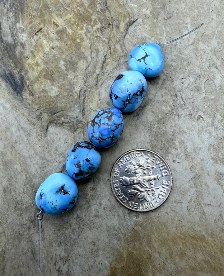 RARE AAA+ Golden Hills Turquoise (Kazakhstan) Large Rounded