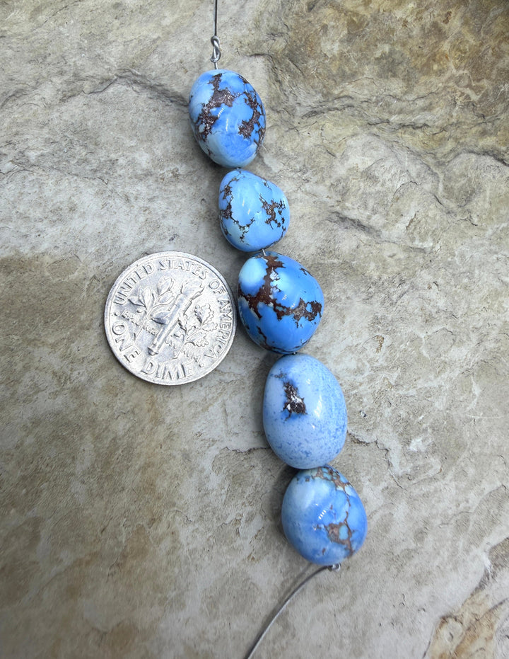 RARE AAA+ Golden Hills Turquoise (Kazakhstan) Large Rounded