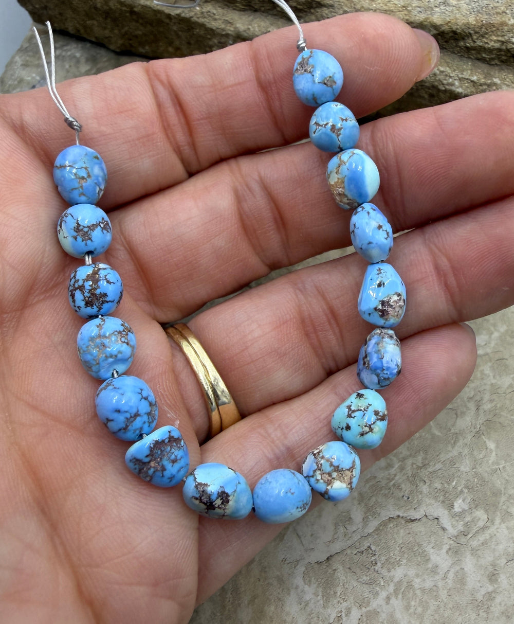 RARE AAA+ Golden Hills Turquoise (Kazakhstan) Large Rounded