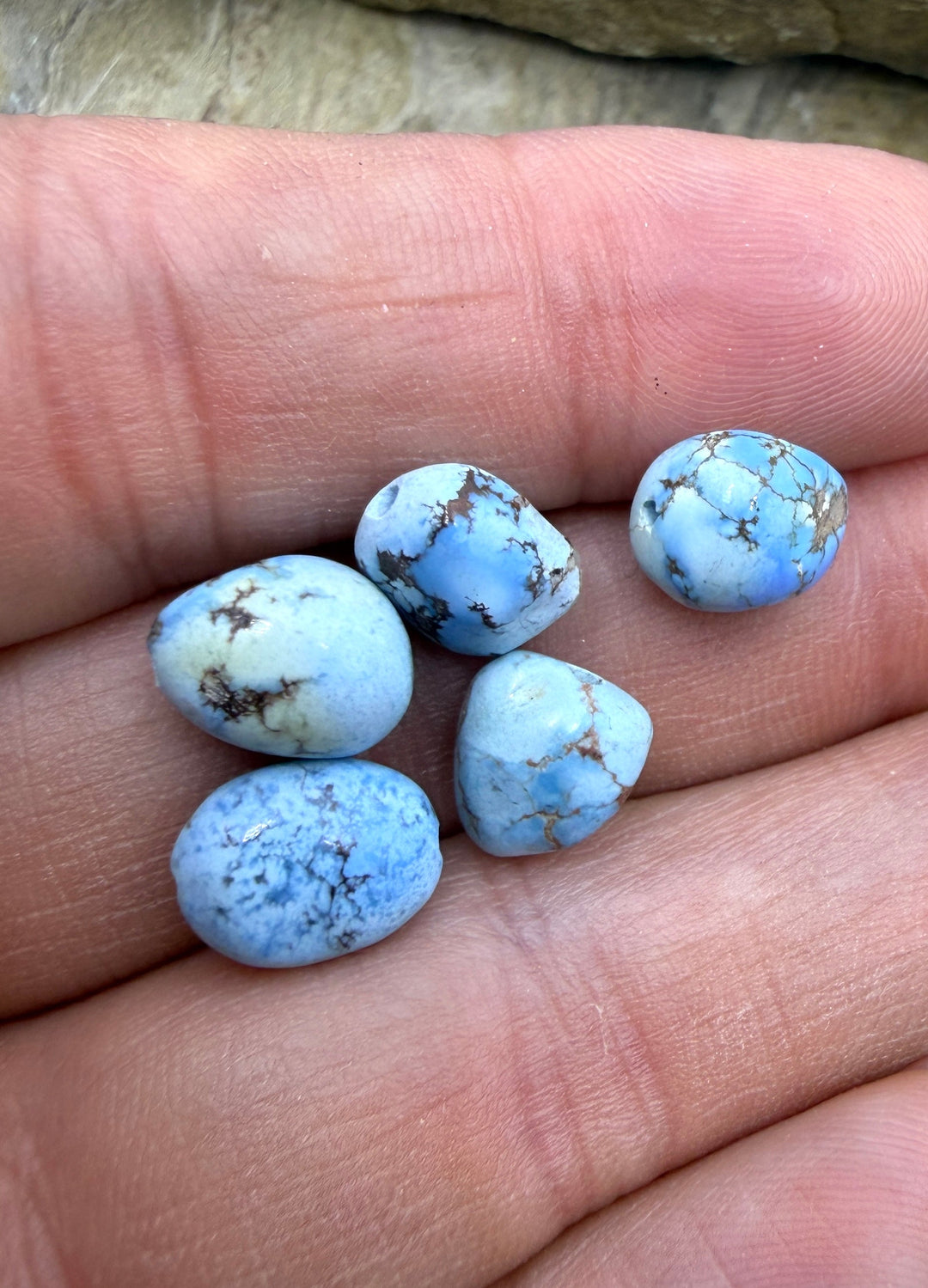 RARE AAA+ Golden Hills Turquoise (Kazakhstan) Large Rounded