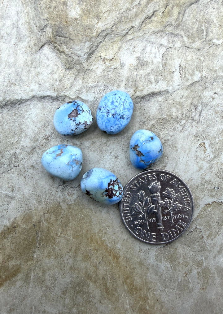 RARE AAA+ Golden Hills Turquoise (Kazakhstan) Large Rounded