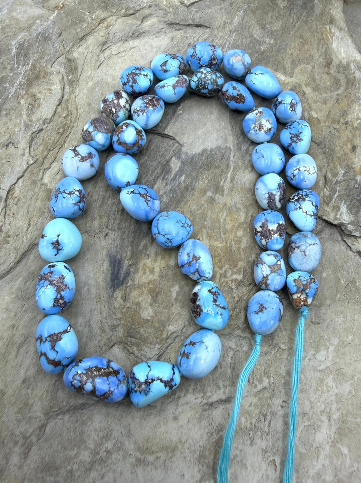 RARE AAA+ Golden Hills Turquoise (Kazakhstan) Large Rounded