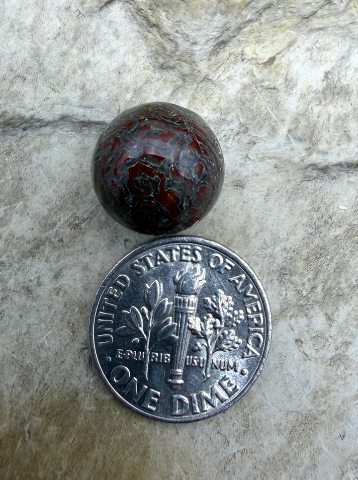 RARE AAA+ High Pattern Utah Dinosaur Bone 12mm Round Bead