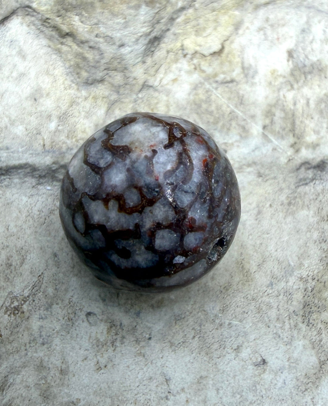 RARE AAA+ High Pattern Utah Dinosaur Bone 12mm Round Bead