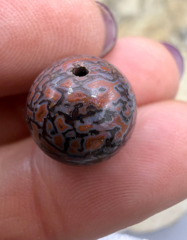 RARE AAA+ High Pattern Utah Dinosaur Bone 12mm Round Bead