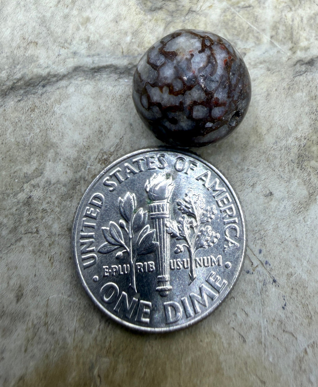 RARE AAA+ High Pattern Utah Dinosaur Bone 12mm Round Bead