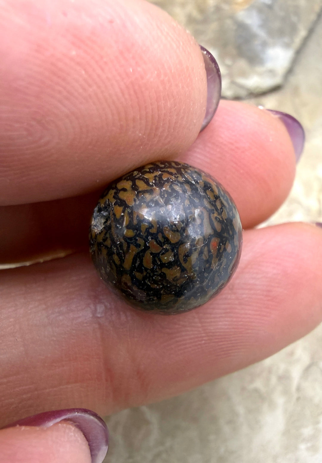 RARE AAA+ High Pattern Utah Dinosaur Bone 12mm Round Bead