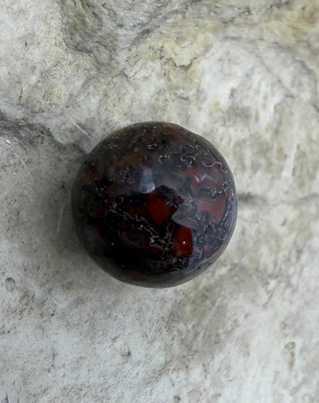 RARE AAA+ High Pattern Utah Dinosaur Bone 12mm Round Bead