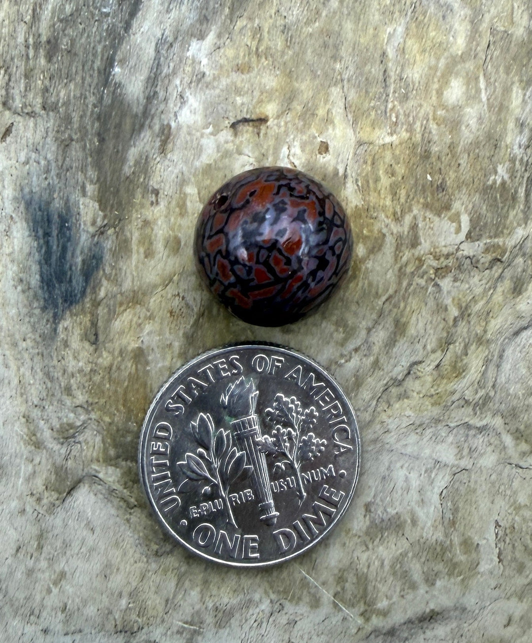RARE AAA+ High Pattern Utah Dinosaur Bone 12mm Round Bead