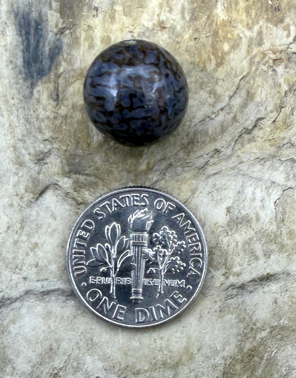RARE AAA+ High Pattern Utah Dinosaur Bone 12mm Round Bead