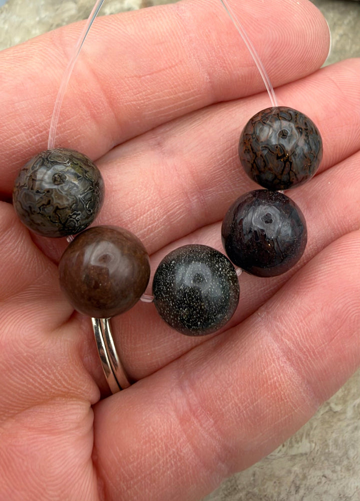 RARE AAA+ High Pattern Utah Dinosaur Bone 12mm Round Beads