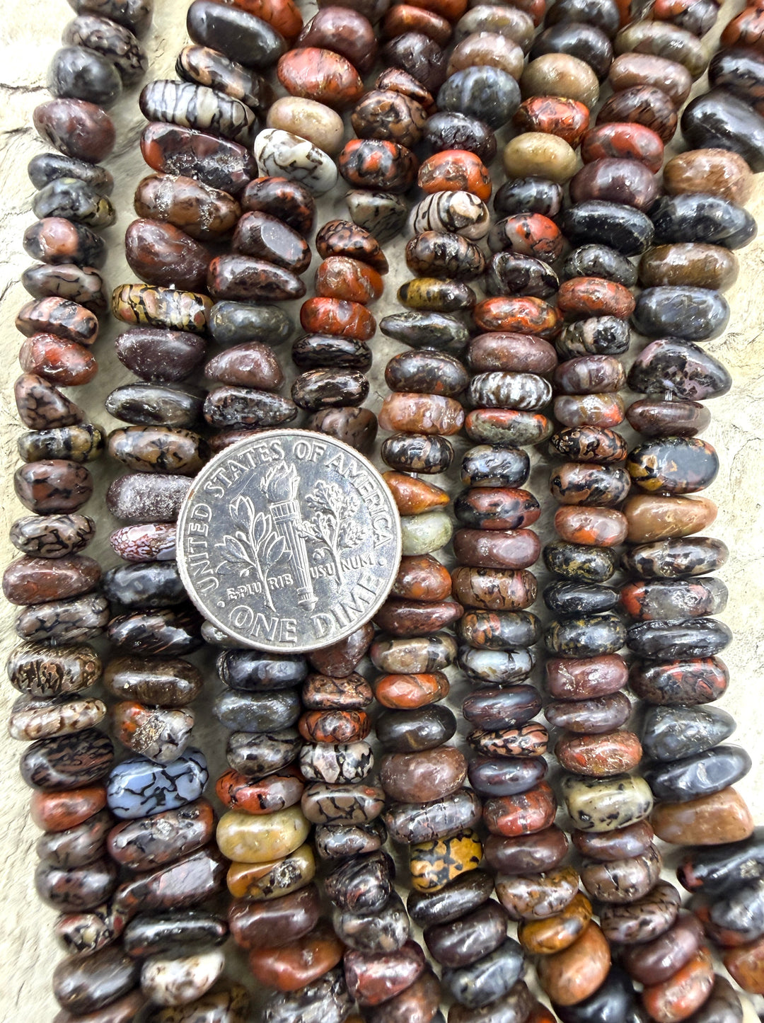 RARE AAA+ High Pattern Utah Dinosaur Bone 4x6-5x8mm Stacked