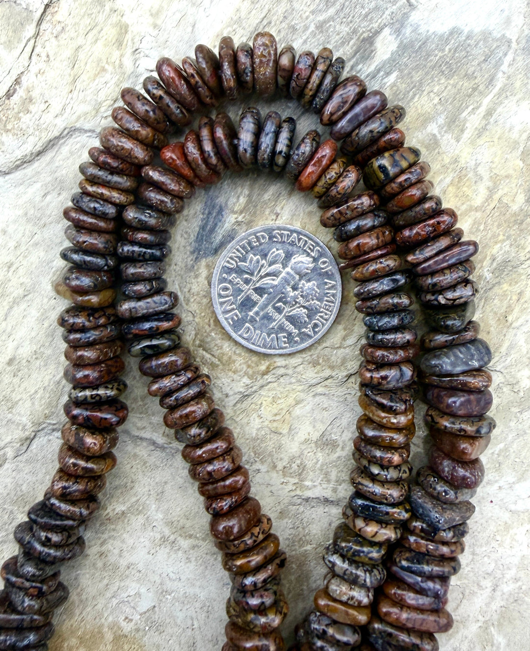 RARE AAA+ High Pattern Utah Dinosaur Bone 6-8x3mm Long