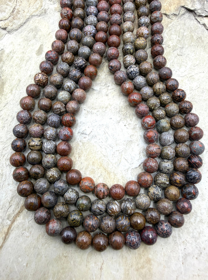 RARE AAA+ High Pattern Utah Dinosaur Bone 6mm Round Beads