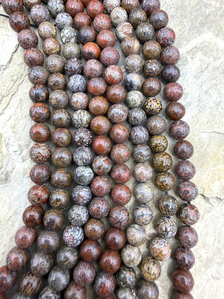 RARE AAA+ High Pattern Utah Dinosaur Bone 6mm Round Beads