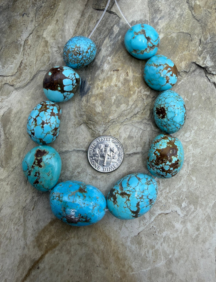 RARE AAA+ Number 8 Turquoise (Nevada) HUGE Graduated