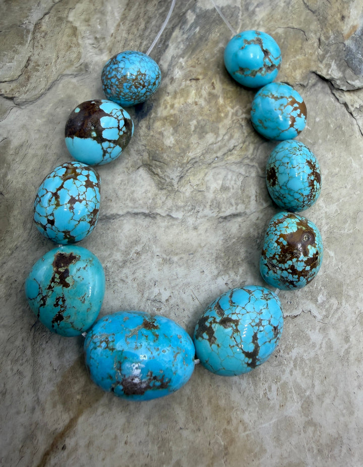 RARE AAA+ Number 8 Turquoise (Nevada) HUGE Graduated