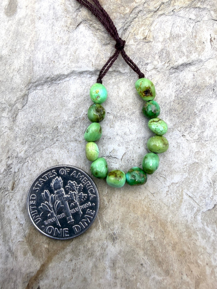 RARE AAA+ Sonoran Gold Turquoise (Mex) 4.5mm Smooth Rounded